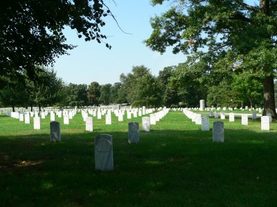Head stones as far as the eye can see