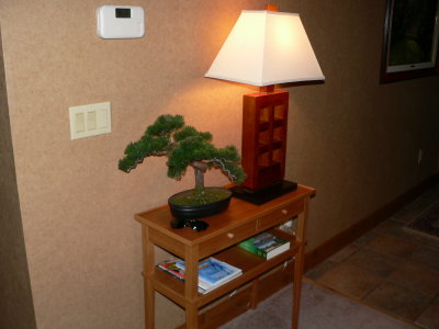 P1050034.JPG