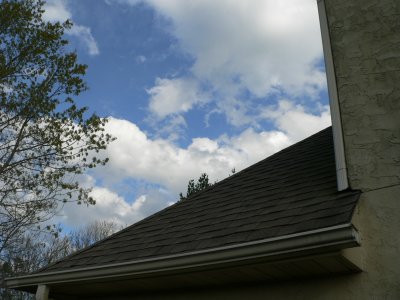 Picture 024.jpg