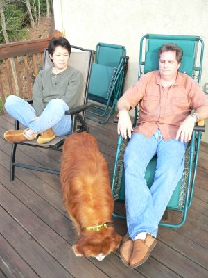 Joe & Sheralyn