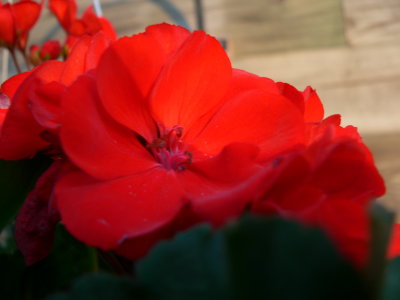 Picture 072.jpg