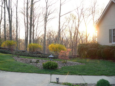 Front yard