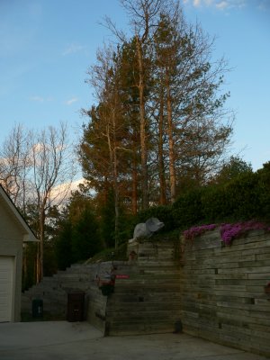 Retaining wall to the driveway