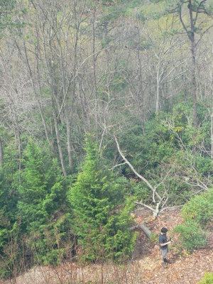 Jace in our backyard