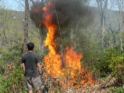 Jace watching fire