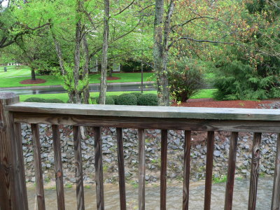 Deck Railing
