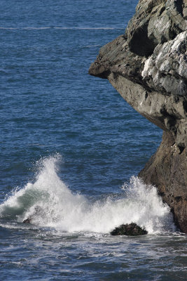 Rock n Sea