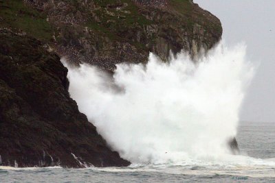 Hundred Foot Splash