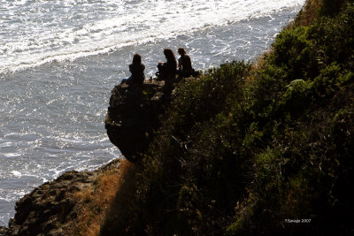 Three on a Rock