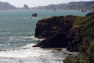 Trinidad Shoreline II