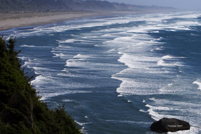 Trinidad Shoreline III