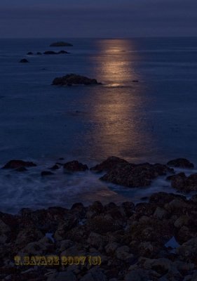 Moonlight on Pacific