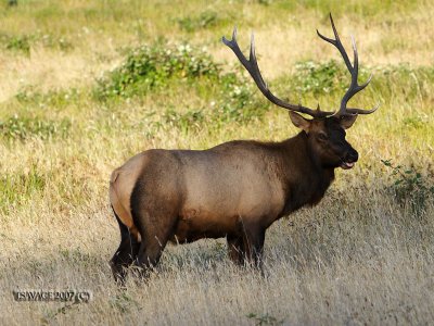 T.Savage_C_09242007_014
