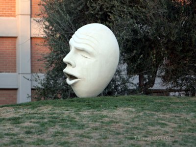 Talking Head - UC Davis