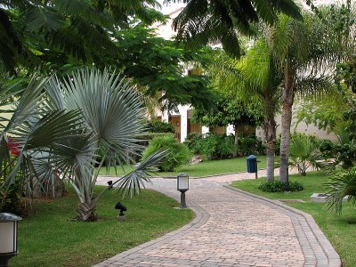 path from reception