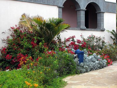hotel garden