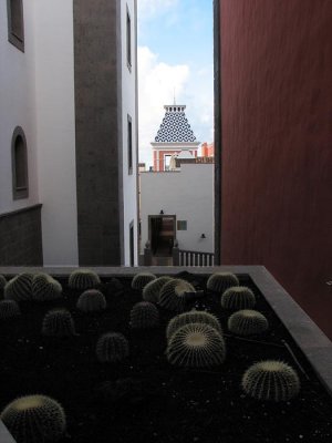 cactus garden