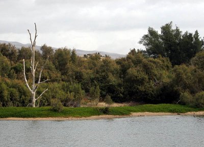 reserve near the dunes