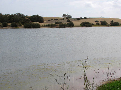 dunes nature reserve