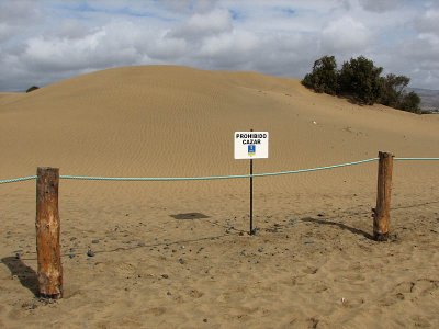 edge of the reserve