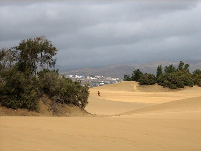 dunes