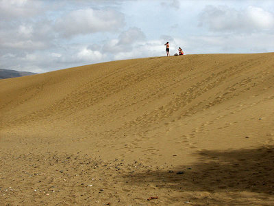 dunes