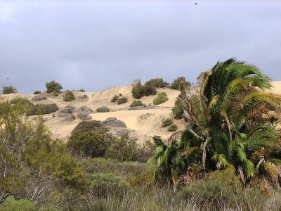 maspalomas dunes