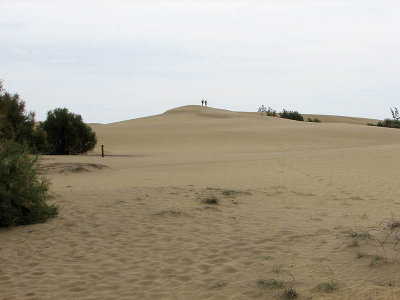 maspalomas dunes