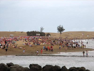 beach in front of the dunes