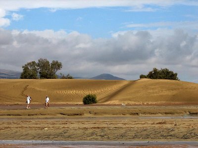dunes