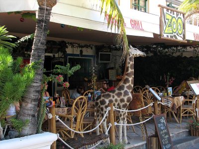 Zoo Bar and Grill