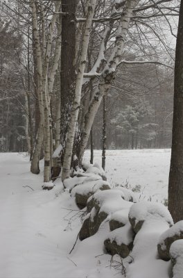 1-3-07.jpg