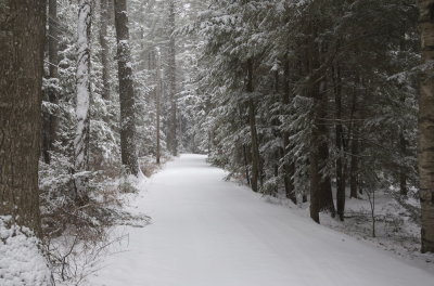 1-5-07.jpg