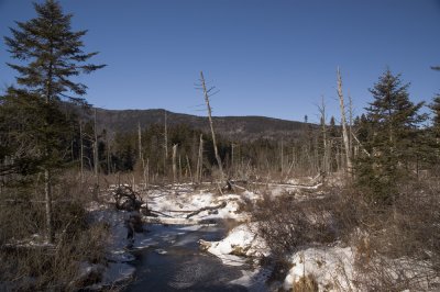 1-24-07.jpg