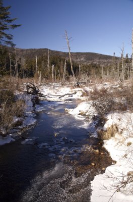 1-26-07.jpg