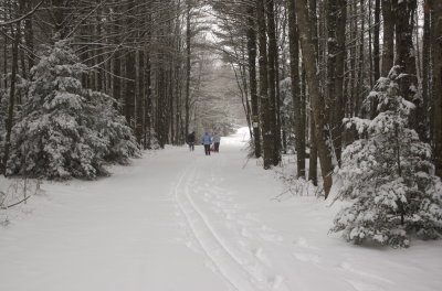 2-6-07.jpg