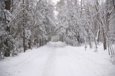 3-6-07.jpg
