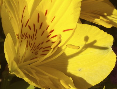 3-22-07.jpg