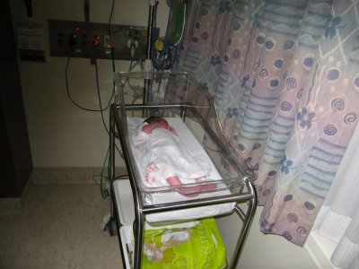 IMG_0011.jpg