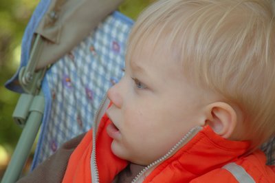 Collin - October 29, 2006