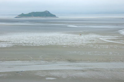rock in the bay at low tide
