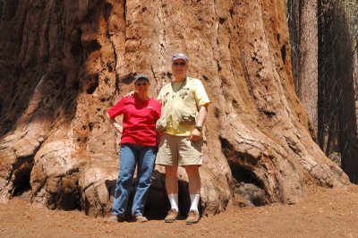Jim & Glynda with a Giant Sequoia