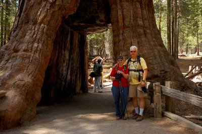 Jim & Glynda at the California Tunnel Tree