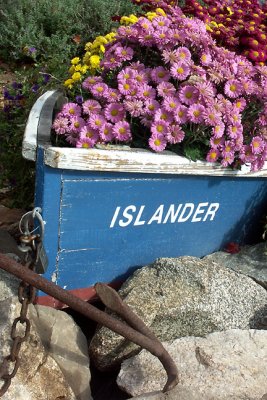 Islander Welcome Boat