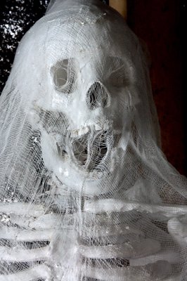 Veiled Skeleton