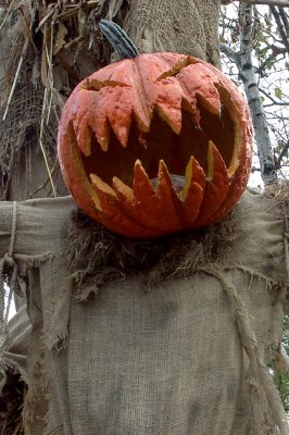 Crucified Pumpkin