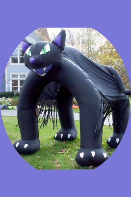 Big Black Cat