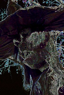Giant Witch Head (Glowing)
