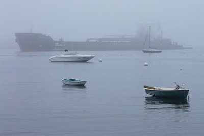 Ambassador, arriving in fog