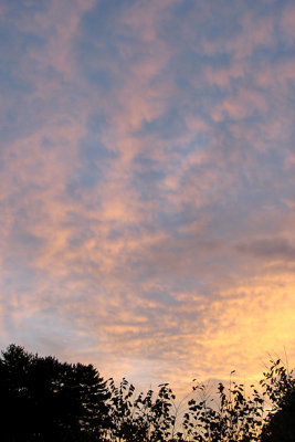 Seacoast Sunrises and Sunsets